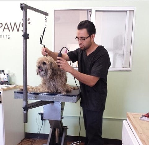 Adult Jiu-Jitsu White Belt student Mike Delgado Grooming a dog